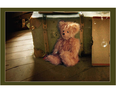 Teddy Bear in Attic