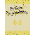 Twins Congratulations Chicks