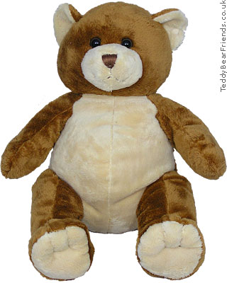 Asthma Friendly Brown Teddy Bear