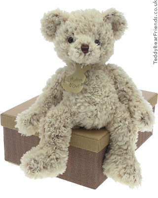 Histoire d'Ours Grey Shaggy Bear