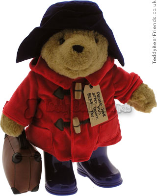 Rainbow Designs Paddington Bear and Suitcase